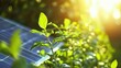 © Tyrah - Sunlit green leaves grow near solar panels in a lush garden, symbolizing sustainable energy