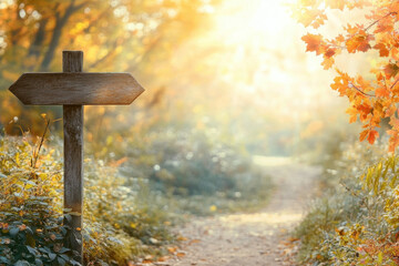Wall Mural - A wooden signpost points along a sunlit autumn trail surrounded by golden foliage, creating a serene and inviting atmosphere in a tranquil forest setting.