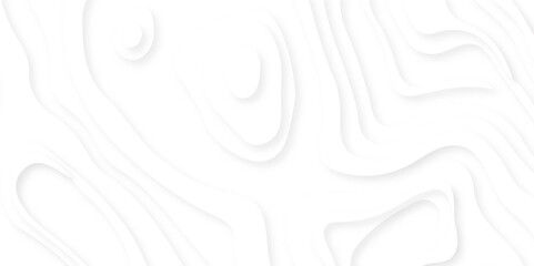Wall Mural - premium podium made of paper on pastel background with plant, abstract lines background. contour map