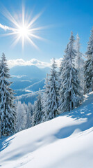 Poster - Snowy mountain slope blanketed by white-frosted fir trees gleaming under bright winter sunlight