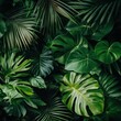 © GoodandEvil - Variety Of Tropical Green Leaves In Dark Background