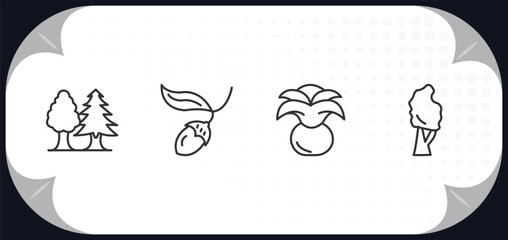 Wall Mural - outline icons set - nature concept. tree with white foliage, chestnut oak tree, agave, black birch t