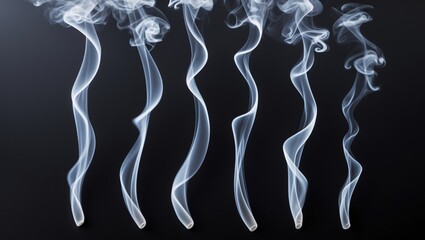 Wall Mural - set of abstract fog or white smoke transforms, image appears as vapor segmented against black backgr