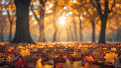 Poster - autumn natural bokeh background featuring trees in a park with space for text