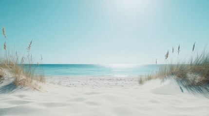 Poster - Breathtaking beach view with soft sand dunes and clear blue sky inviting relaxation and exploration during a sunny day