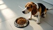 © pngking - A beagle dog is on the floor, gazing at a bowl of dry food.