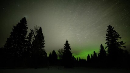 Wall Mural - nighttime timelapse of clouds and stars above a silhouetted forest and aurora along the horizon