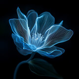 A bioluminescent alien flower with translucent petals, softly glowing in the dark