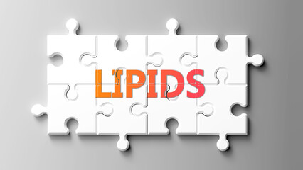Poster - Lipids complex like a puzzle - pictured as word lipids on a puzzle pieces to show that lipids is complex and needs cooperating pieces that fit together. ,3d illustration