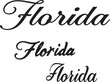 © Tatiana - set of hand-drawn doodle word Florida