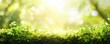 © Valentyna - Green moss in a bright forest clearing. Seasonal natur background with bokeh and short depth of field. Close-up with space for text.