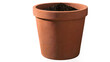 © Abdul - plant in a pot