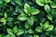 © Michael - Vibrant Green Leaves in Abstract Nature Pattern Design