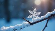 © Prayoon - Snowflake resting on small branch, winter, stillness, quiet
