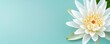 © Grapy Media - Serene White Lotus Blossom on Pastel Turquoise Background for Peaceful Spa and Wellness Theme