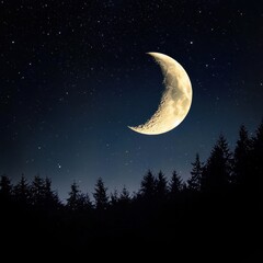 Wall Mural - Enchanting lunar night, radiant full moon and crescent moon illuminating a forest, soft constellations twinkling above.
