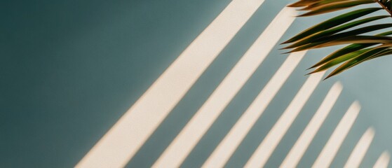 Aufkleber - Minimalist Geometric Sunlight Projection Eco-Conscious Design Aesthetic Capturing Natural Shadow Play and Contemporary Architectural Harmony