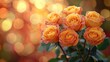 © Rangga Bimantara - Beautiful peach colored roses with soft bokeh, ideal for any occasion