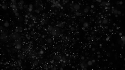 Wall Mural - looping animation of blurry white dust particles floating in the air on black background at 60fps.