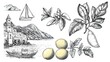 © KNKNAKSENGCHAN - Italian amalfi or sicily summer vacation doodle style illustration set. Vector ink hand drawn Italy coast sea, beach and lemons elements. Sea weekend collection for invitations, placards, posters.