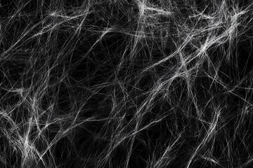 White spiderweb texture, dark background, Halloween design (2)