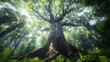 © IA Tuga - A breathtaking view of an ancient tree with massive roots and towering branches in a dense, misty rainforest