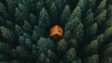 Secluded wooden cabin nestled amidst towering evergreen trees in a forest