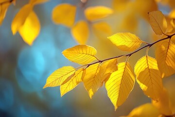 a close-up shot of a tree branch featuring bright yellow leaves