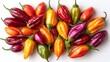 © CreativeSuburb - Colorful chili peppers displayed on white background