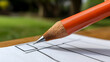 © RN 3540 - Close-up image of an orange pencil about to mark a checklist or survey