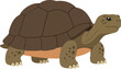 © ZeyBer - A cheerful tortoise with a detailed shell and gentle expression, walking slowly on a sunny day in a flat vector illustration