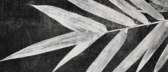 Poster - macro shot of bamboo leaf with textured details on dark background