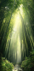 Poster - serene bamboo forest with tall green stalks and soft light filtering through leaves creates tranquil atmosphere
