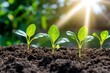 © Arx PhotoStock - Seedlings sprout in soil, bathed in sunlight, amidst green foliage. Growth concept