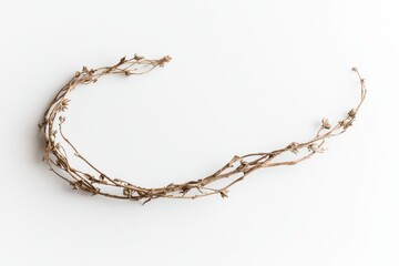 Fototapete - Delicacy of Nature Delicate Dried Twigs Forming a Subtle Curve on Plain White Backdrop Minimalism Nature Still Life