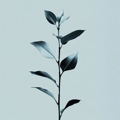 Wall Mural - serene teal plant: minimalist botanical photography