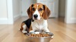 © pngking - A beagle dog is lying on the floor and gazing at a bowl of dry food, anticipating feeding.