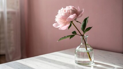Aufkleber - A single pink peony bloom in a clear glass vase on a white marble table with a soft pink wall in the background