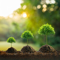 Wall Mural - Growing Plants with Sunlight – Concept of Growth and Sustainability Generated Image