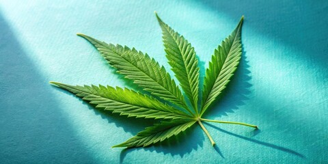 Aufkleber - A vibrant green cannabis leaf with intricate details casts a delicate shadow on a serene turquoise background.