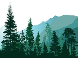 dark blue illustration with mountain pine forest