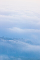 Wall Mural - foggy white clouds covered the hill of mountain valley.