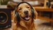 © Pichkan - Golden Retriever Wearing Headphones, Smiling Joyfully at Home