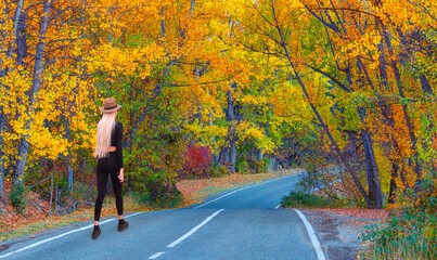 Poster - A young woman walks on an asphalt road, autumn trees on either side of the road