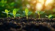 © Power Of Future - Seedling plant growing in rich soil representing business growth and new beginnings with ample copy space available
