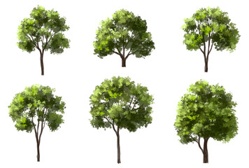 Wall Mural - vector watercolor green tree or forest side view isolated on white background for landscape and arch
