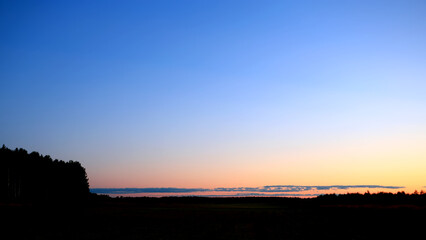 Wall Mural - summer sky sunset over forest. nature, sky and trees.