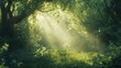 © Lucianastudio - Ethereal sunbeams illuminating a serene forest clearing, showcasing the beauty of nature