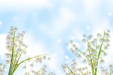 Wall Mural - Spring landscape. flowers lily of the valley