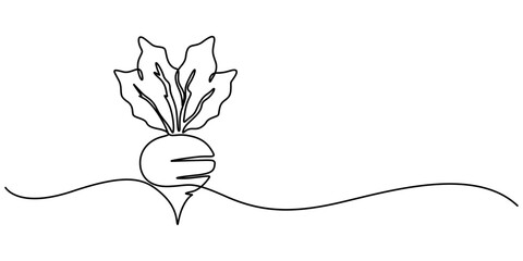 Beetroot in continuous line art drawing style. Garden beet black linear sketch isolated on white background. Vector illustration, Vector continuous one single line drawing icon of beetroot with leaf. 
